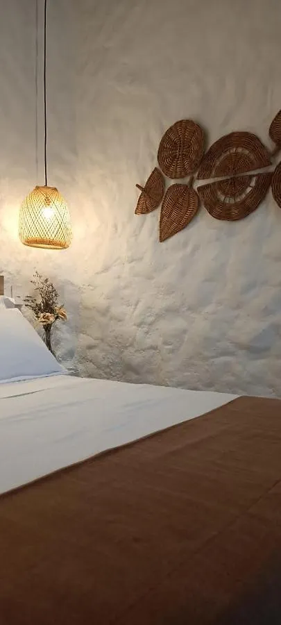 La Casa De Nelly - Medellin Apartment Colombia